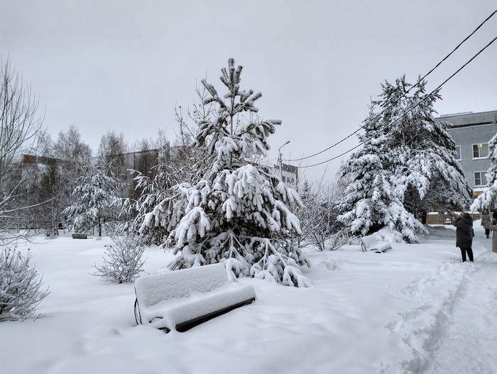 ����� ��� ������