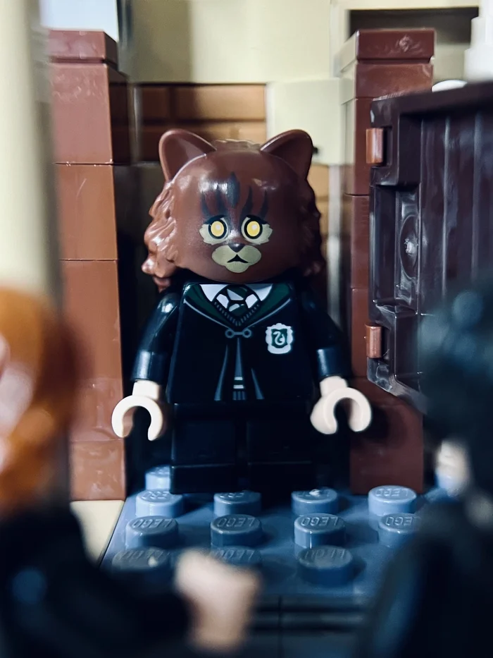 Hermione, who failed... - My, Lego, Harry Potter, Hermione, Potion