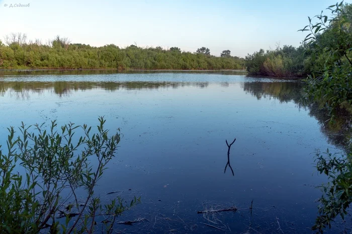 She's waiting for your hook, but you still don't come... - My, The nature of Russia, Karasuk, Fishing, Camping, The photo