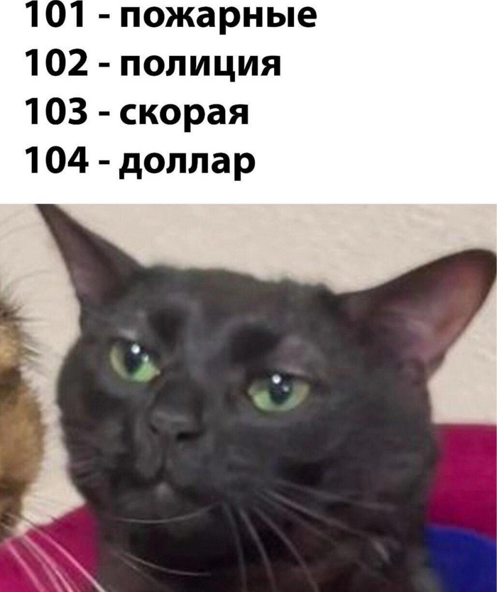  ,   , ,  