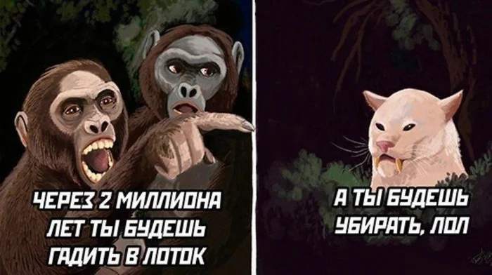 Options for cats))) - Two women yell at the cat, Pet the cat, cat, Money, Longpost, Picture with text