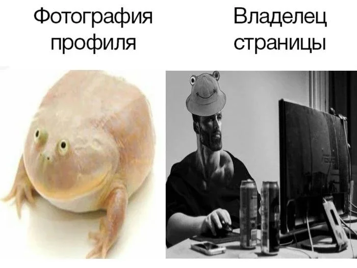 Средовое - Мемы, Картинка с текстом, Жаба, Среда, It Is Wednesday My Dudes