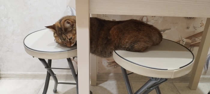 �������� ������