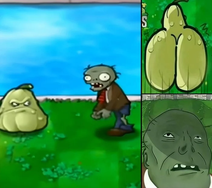 Ему п*зда - Мемы, Юмор, Кабачок, Plants vs Zombies, Зомби