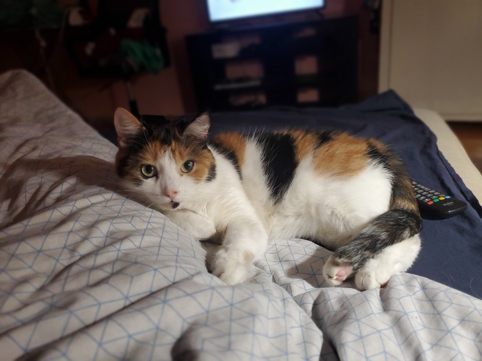 ����� �� ���� ����� ����������� � �������� ���� ������ 2024�