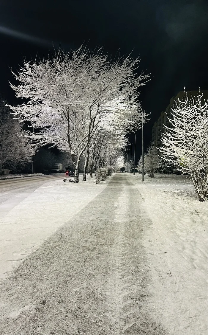 It snowed - My, Winter, Snow, Tree, Evening, Longpost, The photo