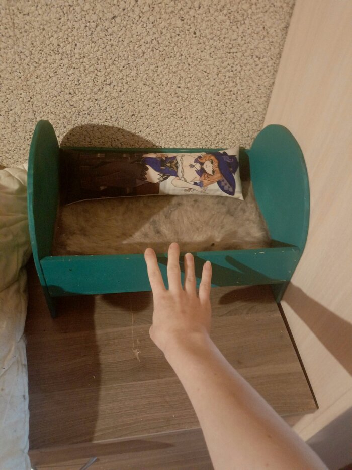 Поставляется в комплекте с мини кроваткой и мини дакимакурой с каким-то персонажем из геншина(если найду ее в квартире)