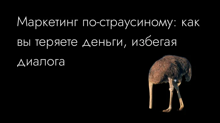 Опасности «страусового маркетинга» и как их избежать - Моё, Маркетинг, Стартап, Бизнес, Предпринимательство, Длиннопост