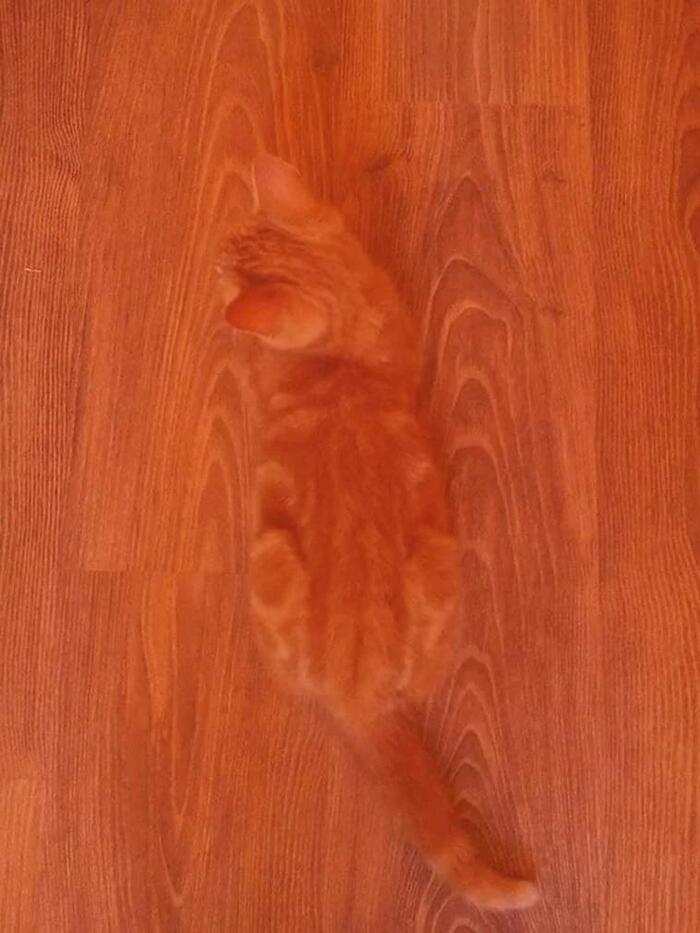   , , , , 