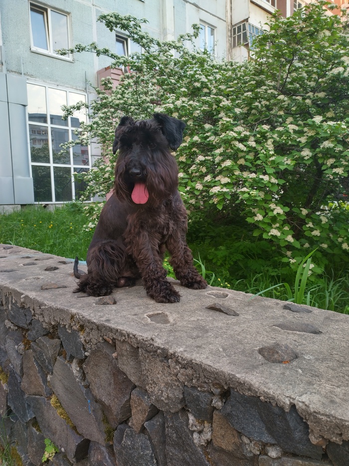 "Новые" слова