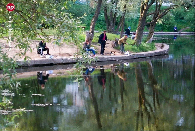 The first reservoir of Zelenograd. Pond Bykovo Boloto in different years (1960-2024) - Zelenograd, Beautification, Lake, Longpost