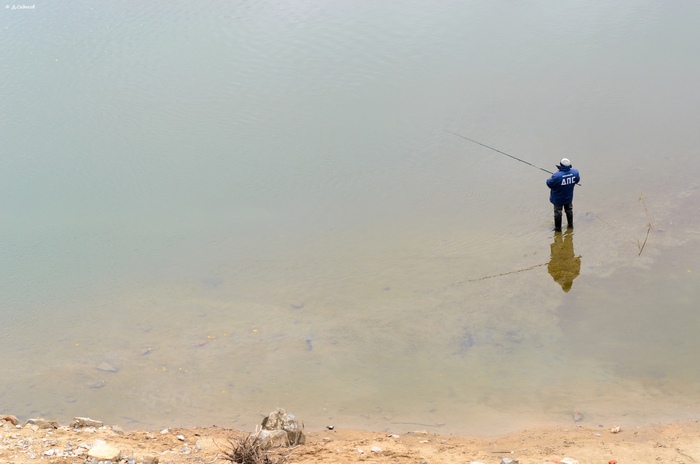 Хороший инспектор