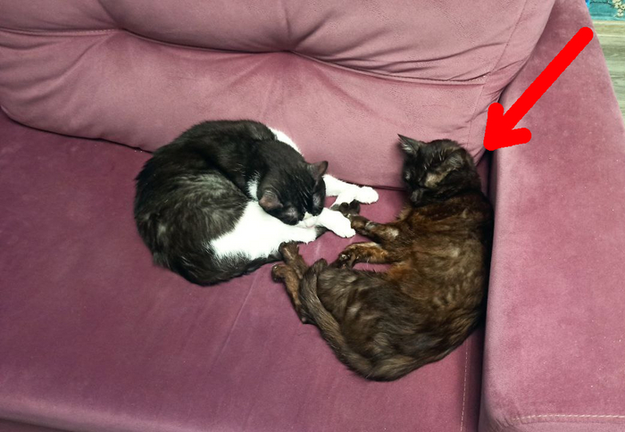 �� ���� ������� � ˸�����