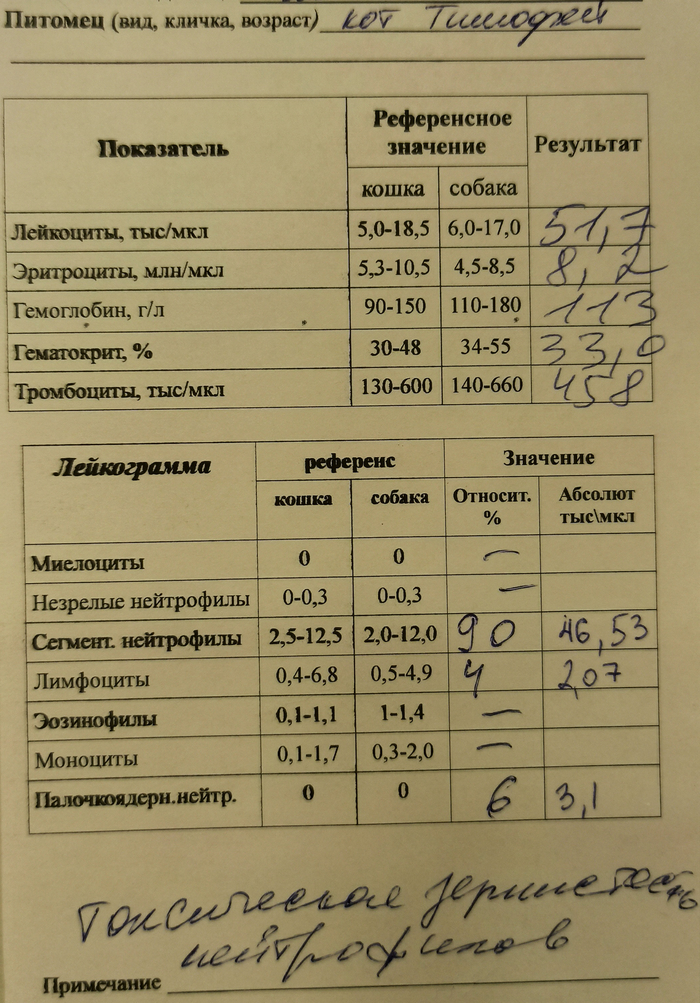 ����� ������ ����� �� 21 ������ 2024 ����.