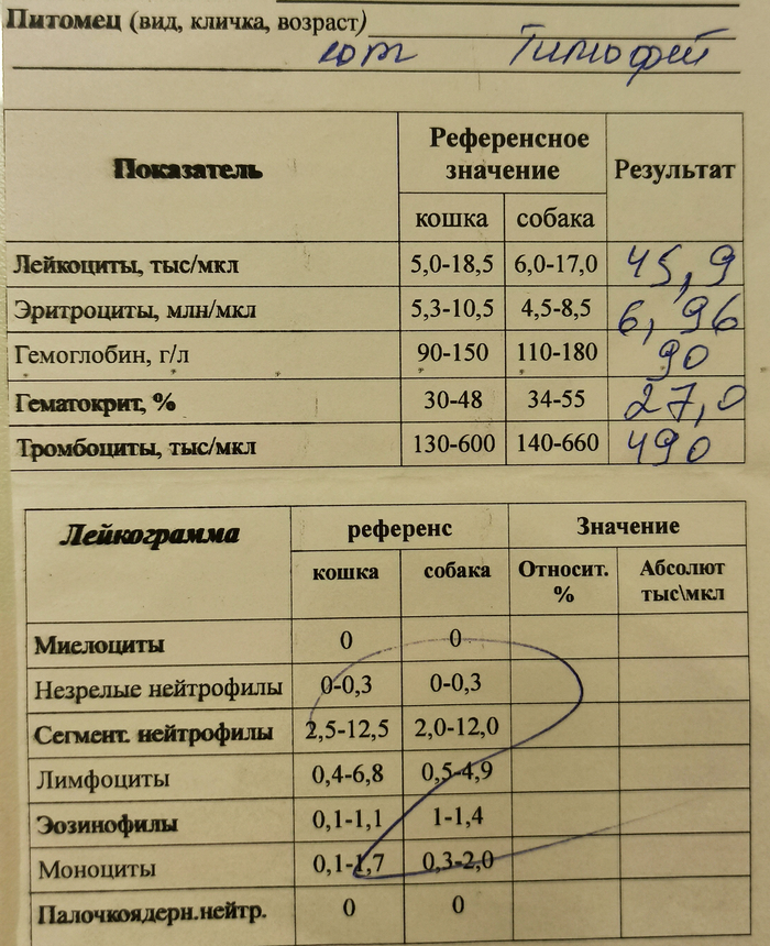 ����� ������ ����� �� 25 ������ 2024 ����.