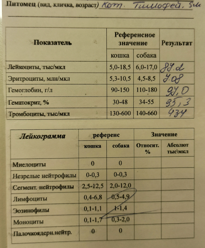 ����� ������ ����� �� 1 ������� 2024 ����.