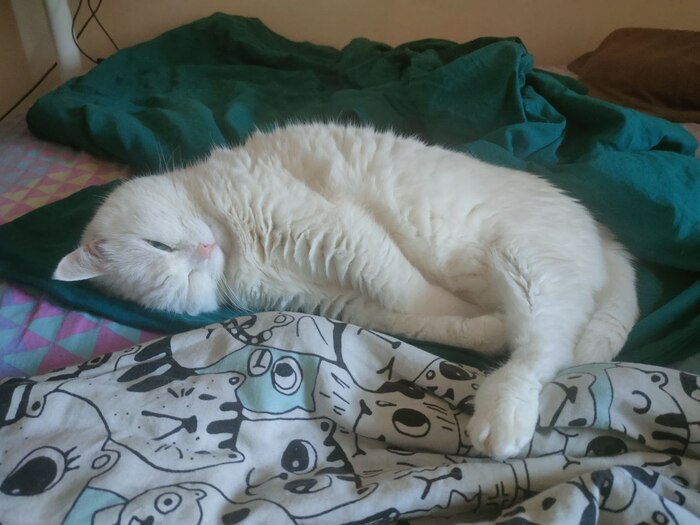 Лучи добра от Калаша