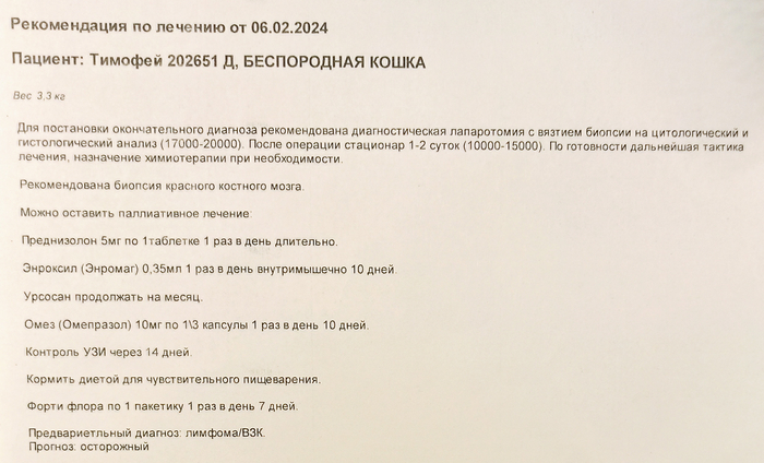 ������������ �� ������� �� "�������" �������� ������