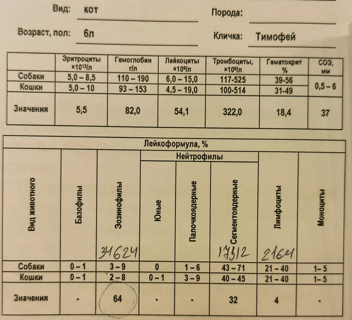 ����� ������ ����� �� 21 ������� 2024 ����.