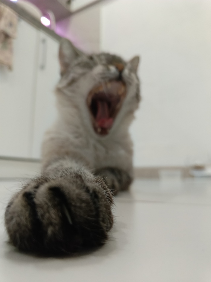    , , , , 