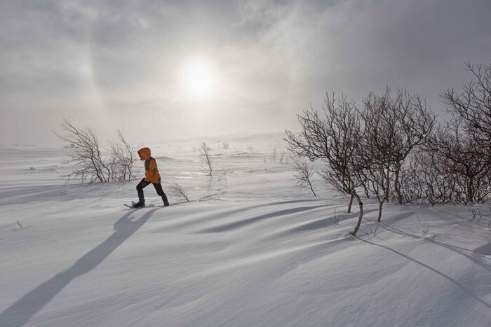 To Teriberka - Hike, Teriberka, Winter