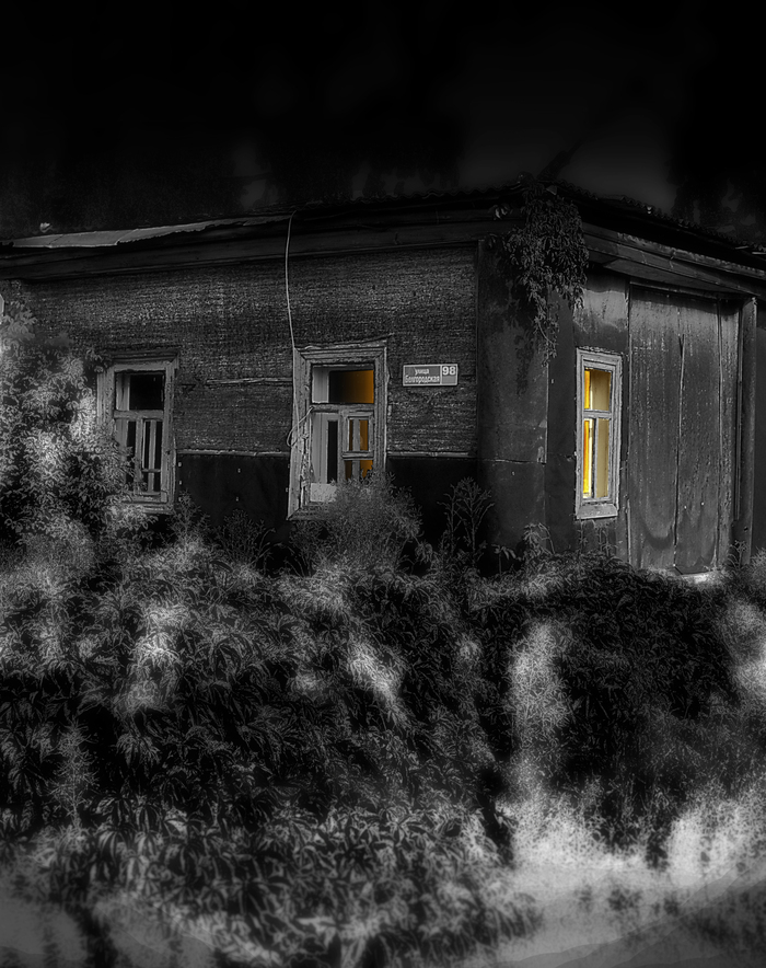 ,   ,    , Nikon d3100, 