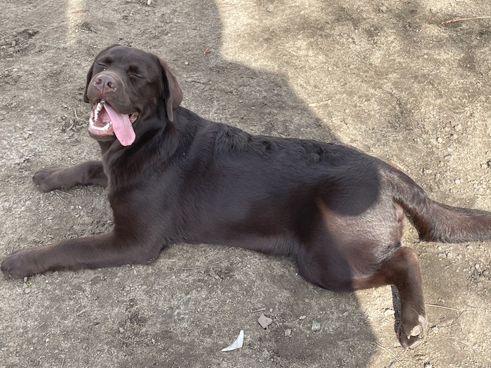 ����, �� �� �����.