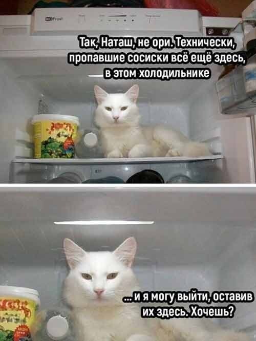 Old meme lvl2 - Humor, Memes, cat, Picture with text, Refrigerator, Sausages