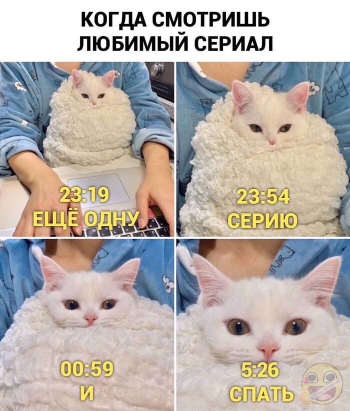     ,   ,  ,  , , ,  , 