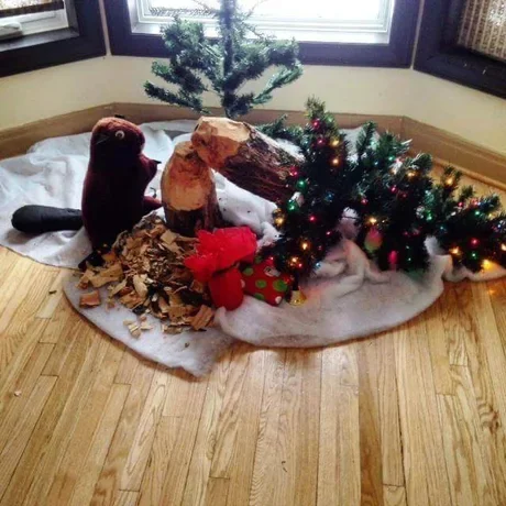 Good! - Images, Humor, Beavers, Christmas tree