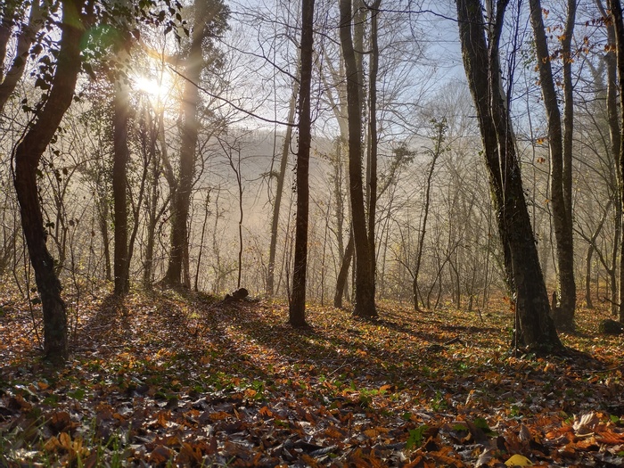 Утро в долине Жане