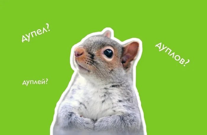Squirrels crawled out of hollows, hollows or hollows? The plural, which baffles us! - My, Russian language, Linguistics
