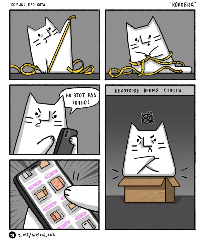 Comic about the Cat No. 108 About the box - My, Weird_Tanya comics, Author's comic, Comics, cat, Humor, Box, Online shopping, Marketplace, Expectation and reality, Telegram stickers, GIF, Longpost