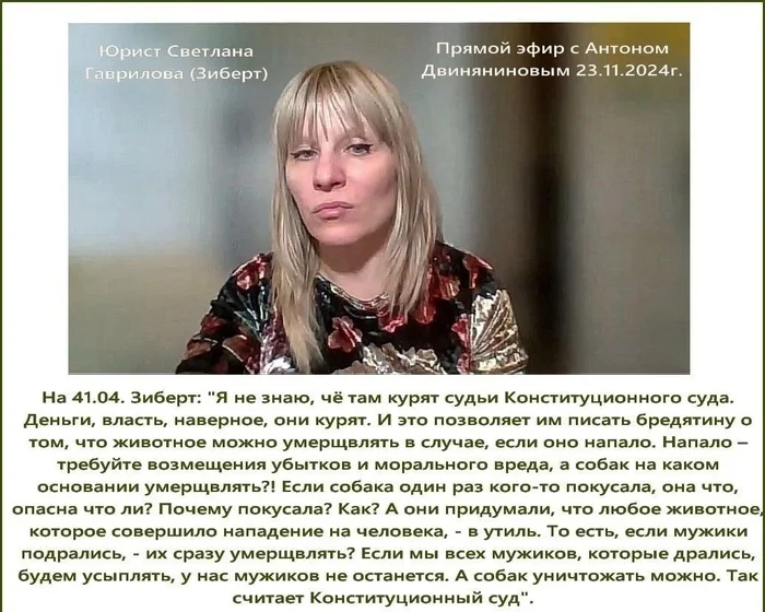 Another dog lawyer - Stray dogs, Radical animal protection, Urban crazy, Public Enemies, Screenshot, VKontakte (link), Negative, Video, Video VK