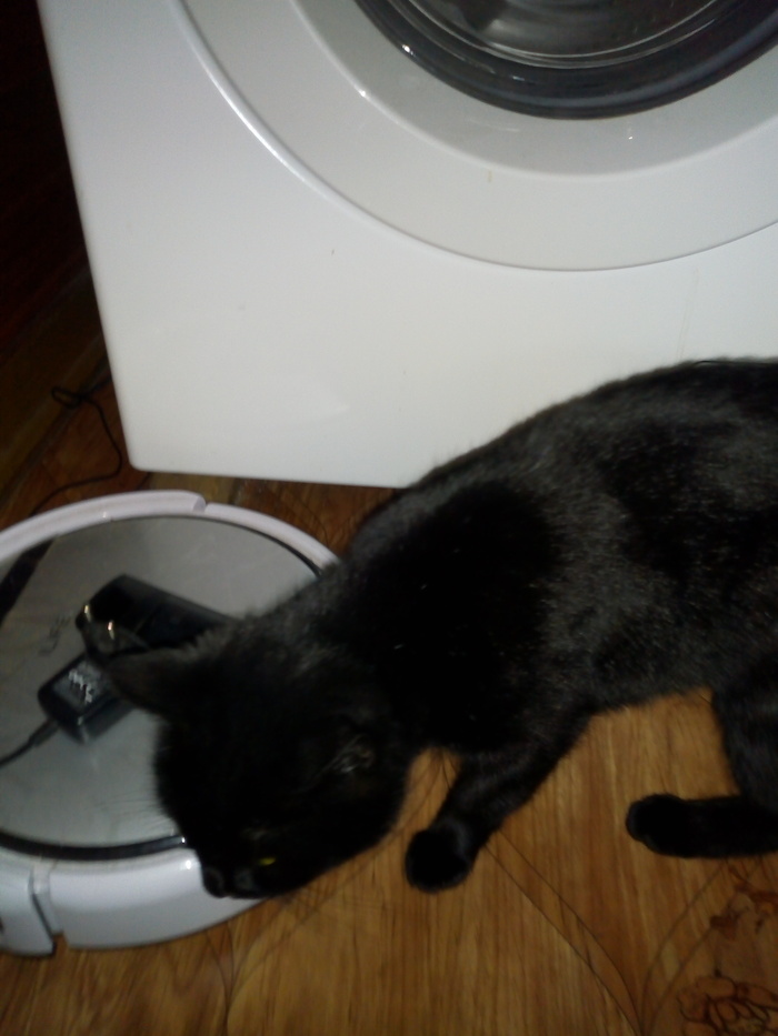 Ответ на пост «Челлендж добра»