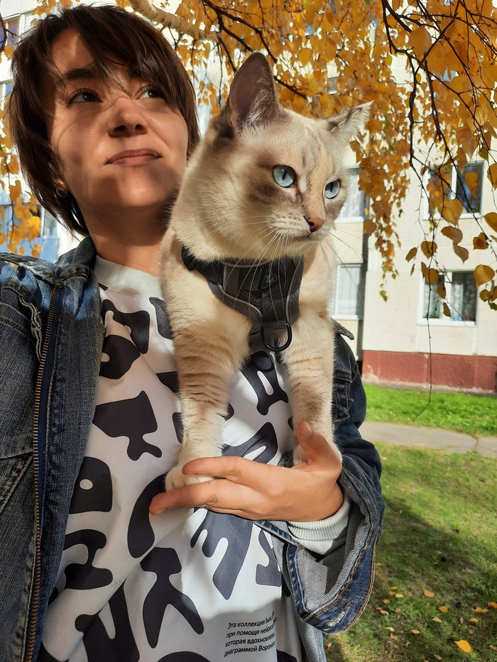   ,  , , , ,  , 