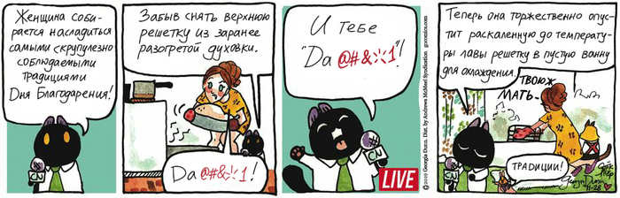 Котейкины Новости от 28.11.2024