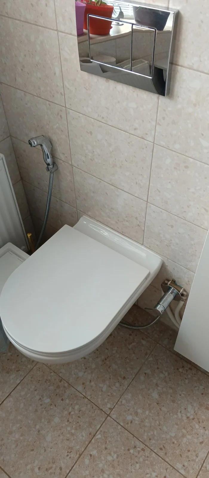 If you really want a hygienic shower - My, Toilet, Hygienic shower, Repair, Longpost