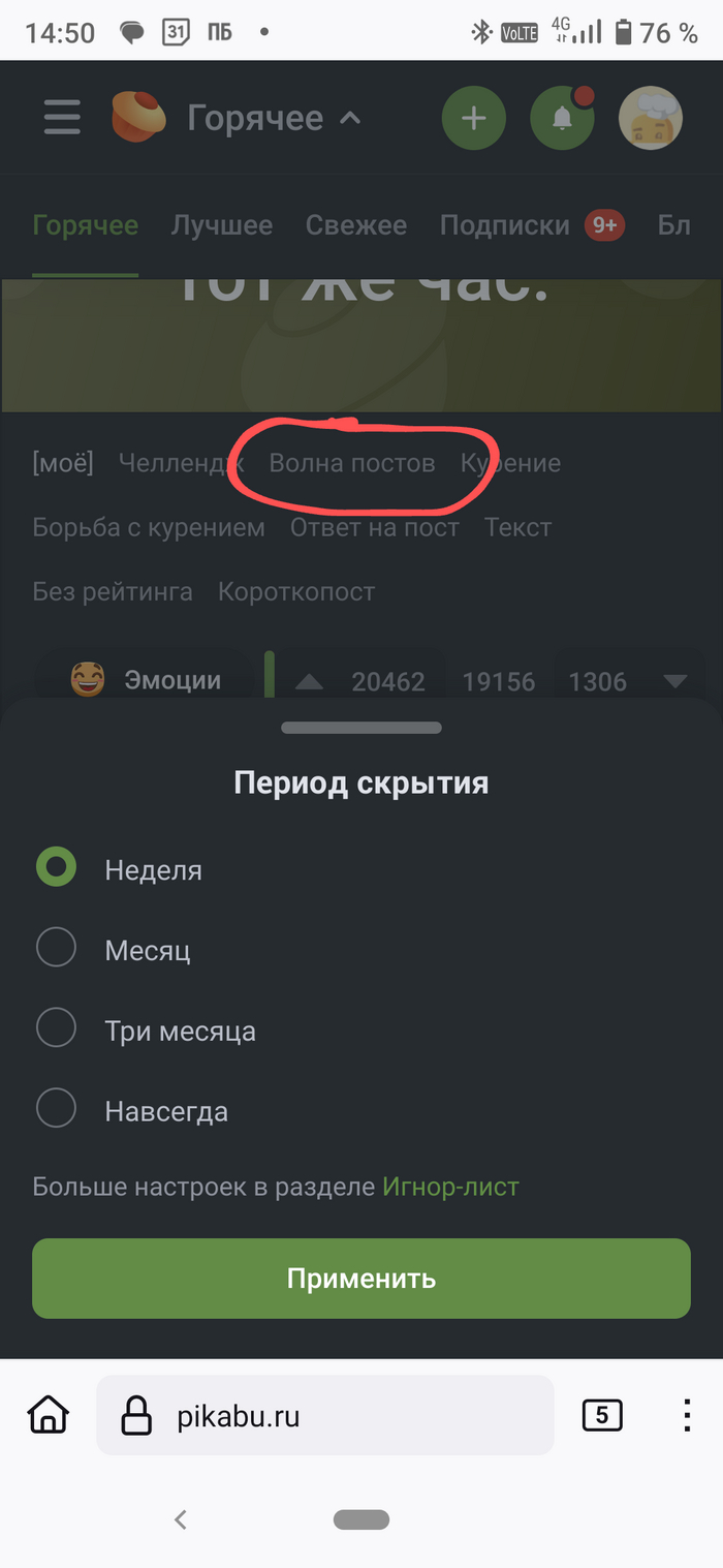 "����� ������". ������ �������� ���