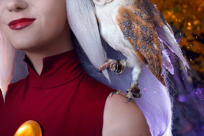 What would an Owl House be without an owl? - Cosplay, Cosplayers, The photo, PHOTOSESSION, Cartoons, The owl house, Eda, Walt disney company, Owl, Birds, Longpost, Agflower