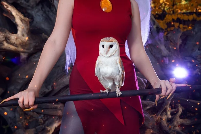 What would an Owl House be without an owl? - Cosplay, Cosplayers, The photo, PHOTOSESSION, Cartoons, The owl house, Eda, Walt disney company, Owl, Birds, Longpost, Agflower