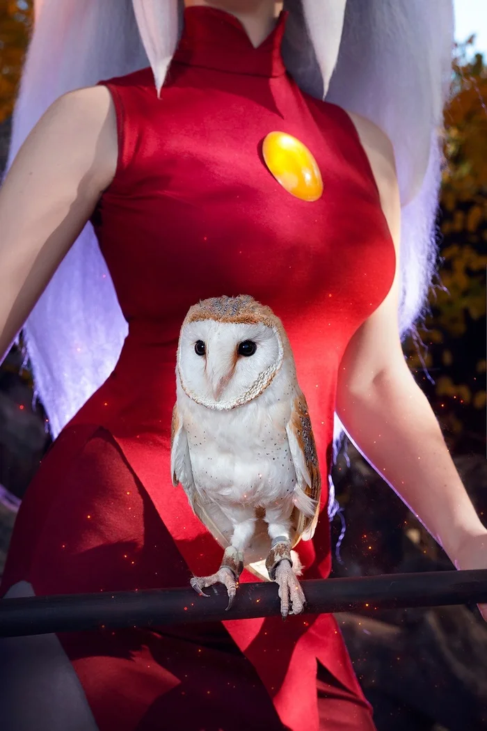 What would an Owl House be without an owl? - Cosplay, Cosplayers, The photo, PHOTOSESSION, Cartoons, The owl house, Eda, Walt disney company, Owl, Birds, Longpost, Agflower