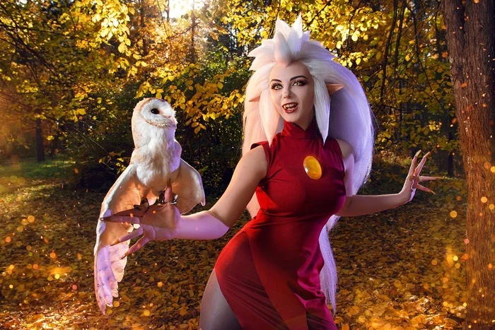 What would an Owl House be without an owl? - Cosplay, Cosplayers, The photo, PHOTOSESSION, Cartoons, The owl house, Eda, Walt disney company, Owl, Birds, Longpost, Agflower