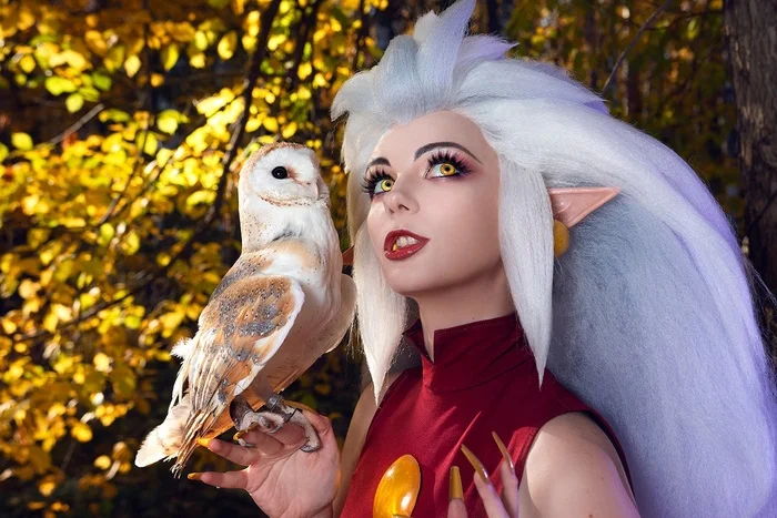 What would an Owl House be without an owl? - Cosplay, Cosplayers, The photo, PHOTOSESSION, Cartoons, The owl house, Eda, Walt disney company, Owl, Birds, Longpost, Agflower