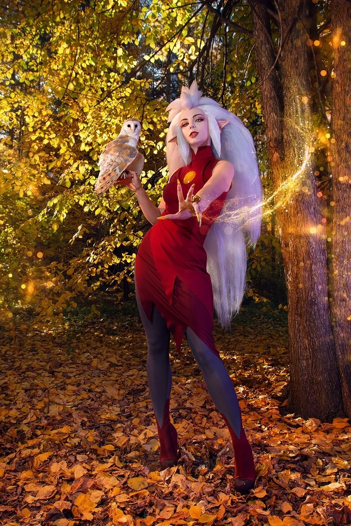 What would an Owl House be without an owl? - Cosplay, Cosplayers, The photo, PHOTOSESSION, Cartoons, The owl house, Eda, Walt disney company, Owl, Birds, Longpost, Agflower