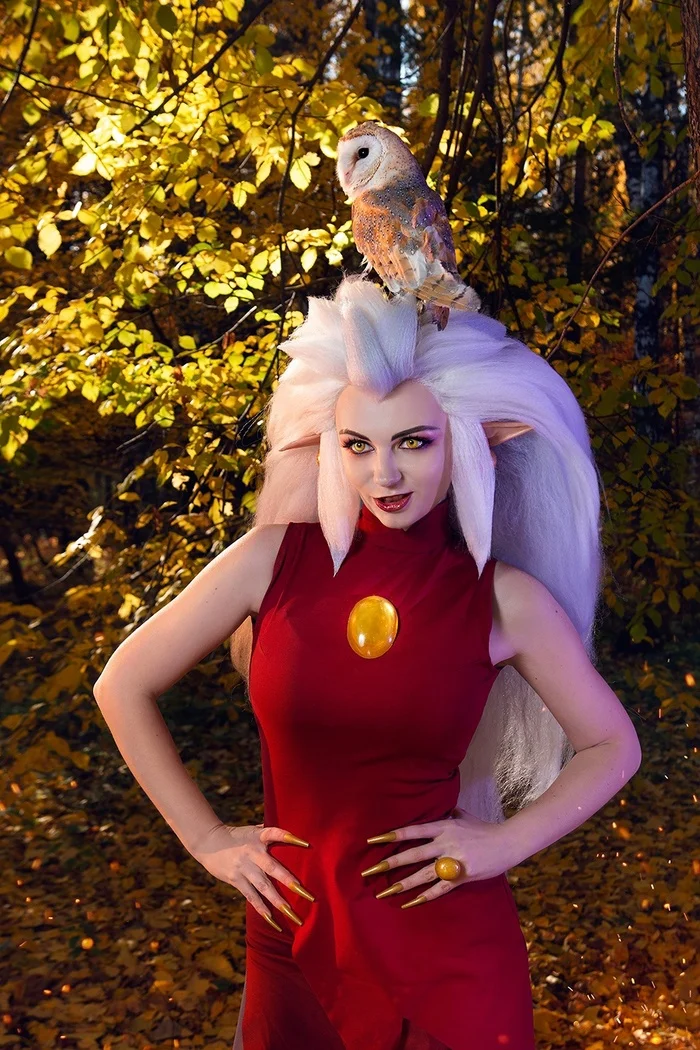 What would an Owl House be without an owl? - Cosplay, Cosplayers, The photo, PHOTOSESSION, Cartoons, The owl house, Eda, Walt disney company, Owl, Birds, Longpost, Agflower