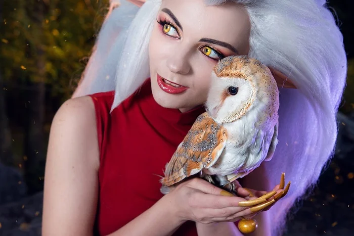 What would an Owl House be without an owl? - Cosplay, Cosplayers, The photo, PHOTOSESSION, Cartoons, The owl house, Eda, Walt disney company, Owl, Birds, Longpost, Agflower