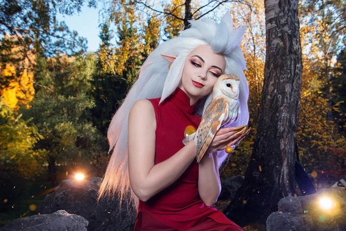 What would an Owl House be without an owl? - Cosplay, Cosplayers, The photo, PHOTOSESSION, Cartoons, The owl house, Eda, Walt disney company, Owl, Birds, Longpost, Agflower