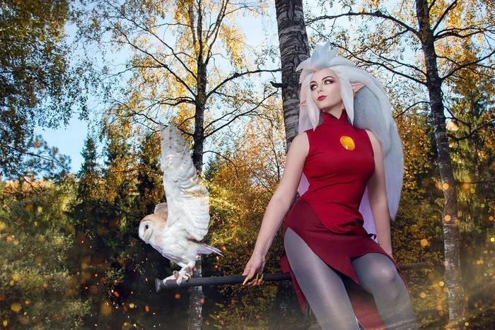 What would an Owl House be without an owl? - Cosplay, Cosplayers, The photo, PHOTOSESSION, Cartoons, The owl house, Eda, Walt disney company, Owl, Birds, Longpost, Agflower