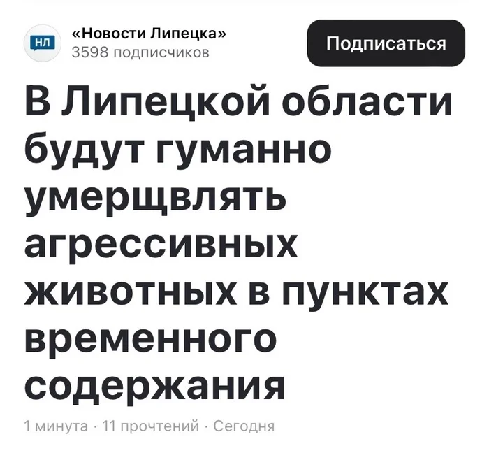 Lipetsk - for the people - Stray dogs, Lulling to sleep, Screenshot, Lipetsk, Lipetsk region, Media headlines